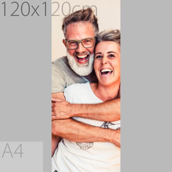 Leinwandbild L 50x120cm